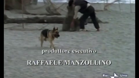 Il commissario De Luca 1x01 ITA 2008 - drammatico, guerra | Комиссар Де Лука, 2008 1S.4E - драма, военный (Италия)