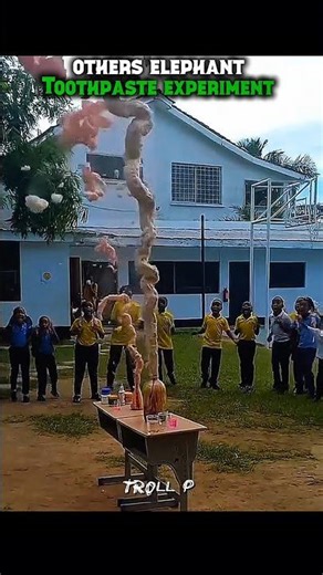 OTHERS ELEPHANT TOOTHPASTE EXPERIMENT VS THIS ONE #trollface #edit #viral