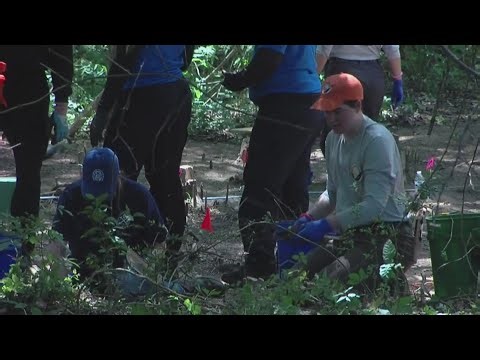 Remains of three children found in Hickory Hill