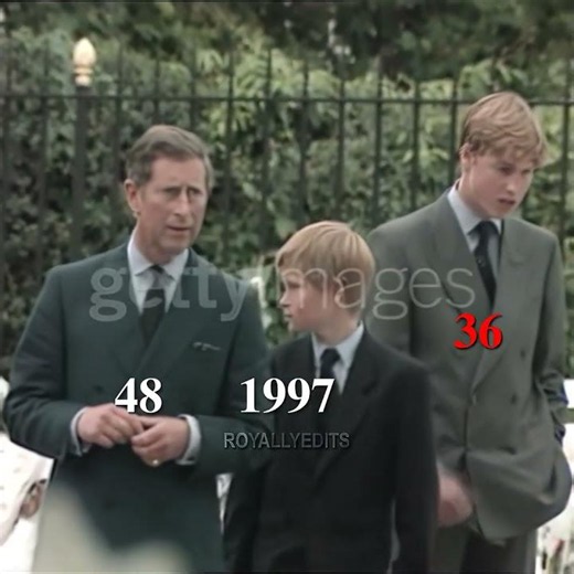 King Charles III Life With Princess Diana #royalfamily #kingcharles #ladydianaspencer #history