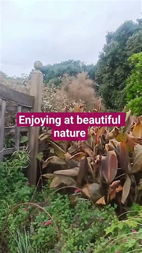 enjoying beautiful aspect of nature and getting more fresh energy #auckland #newzealand #beautiful