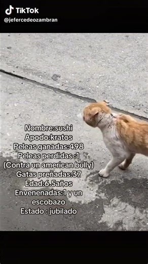 Lo regalo gente , venid a buscarlo