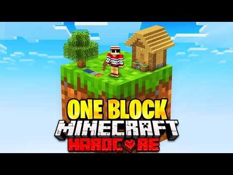 I Survived 100 Days on One Block in Hardcore Minecraft..