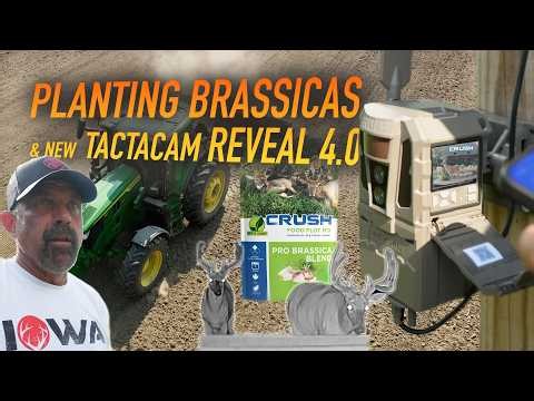 Deer Season Prep | Planting Brassicas & Hanging Trail Cams(REVEAL 4.0)