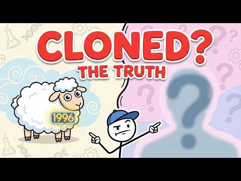 The Truth About Human Cloning in 2026