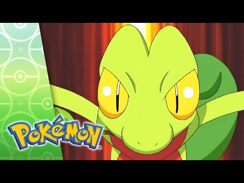 What You Seed is What You Get | POKÉMON FULL EPISODE 1 | Season 7