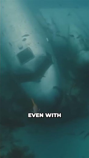 Jessica Alba Refused to Swim With a Real Shark! #jessicaalba #intotheblue #moviefacts