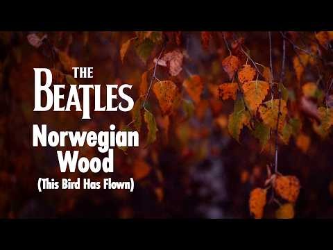 The Beatles - Norwegian Wood (This Bird Has Flown) - 2026 Mix (Visualiser)