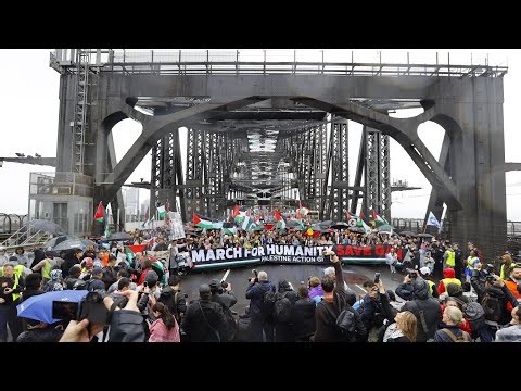 ‘We will keep mobilising’: Palestine Action Group responds to Minns’ protest laws