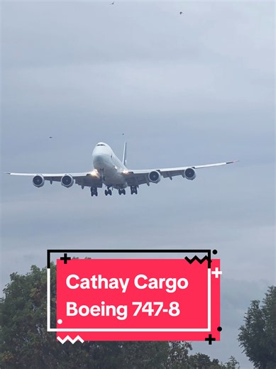 ​Mass vs. Class: Cathay Cargo Boeing 747 vs. Birds ✈️ #b747 #boeing #cathaypacific #airplane #landing