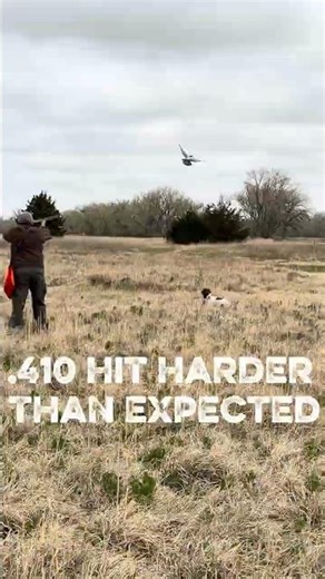 Cocker Dog Retrieve After a .410 Shot Nobody Expected