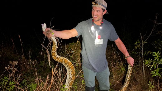 Hired to take him on his first python hunt in the Florida Everglades
