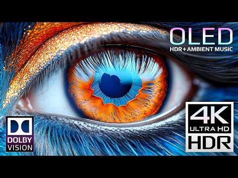 BEST HDR Display Test 240fps | Macro OLED 4K Video (8K Video ULTRA HD TV)