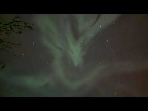 Argyle Skies: Live from the Lair