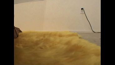 Holly Small Tit Babe in Stockings POV Blowjob & Gets Fucked Doggy