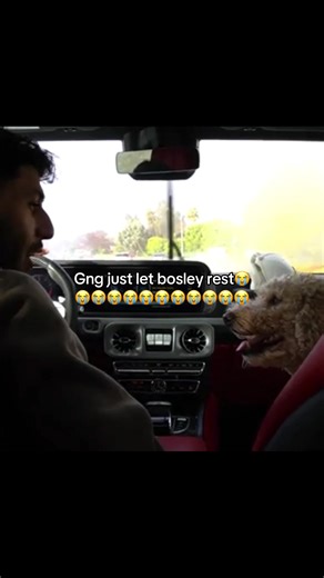 #brawadis #lebron #giftok #basketball | Bosley