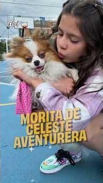 TIKTOKERS QUE EXTRAVIARON A UNA MASCOTA: CELESTE AVENTURERA, ANTONIA BOTERO, GERMÁN GARMENDIA Y MÁS