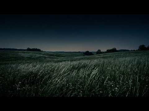 Dark Screen Night Field Ambience 🌙 Soothing Cricket Sounds for Deep Sleep & Insomnia Relief