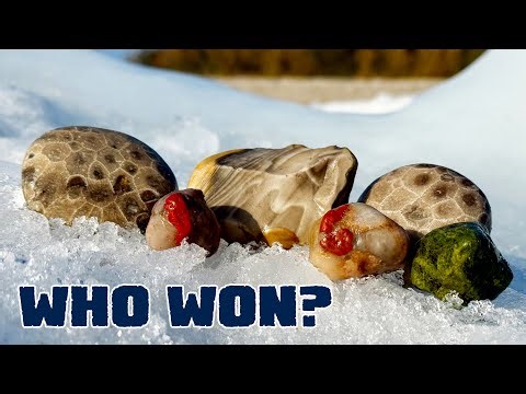 Braving the Cold for the Annual Rock Hunting Challenge