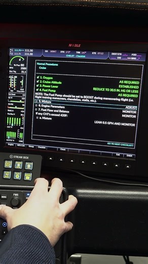 Cruise Checklist | #nobleflightsim | #cirrussr22t