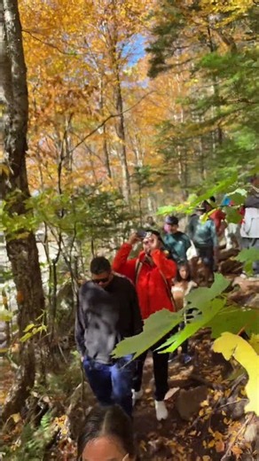 🍁🏔️ Artists Bluff on October 4, 2026… LOOK AT THIS CROWD! 😱 #nycbytk
