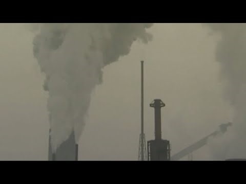 OHSU study finds exposure to pollution changes kid's brain development