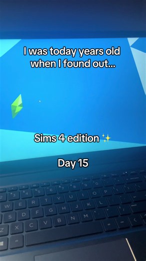 Sims 4: Change Umbrella, Break Curfew & Use Journals