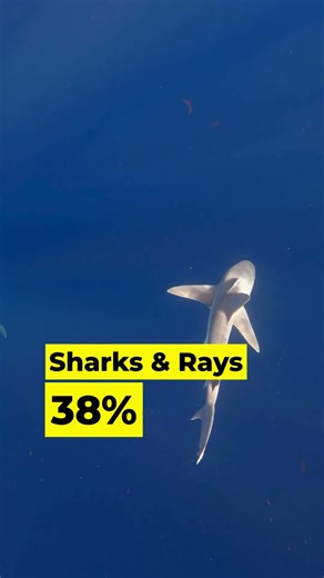 Red Alert for Life on Earth