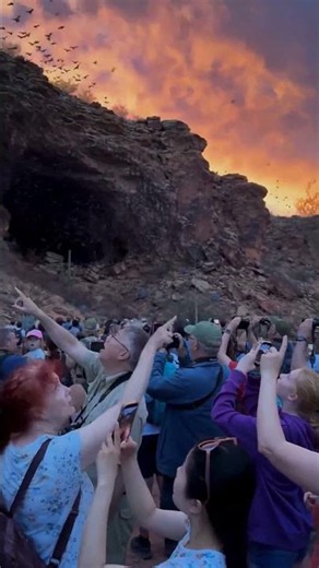 There's a hidden world under New Mexico! 🤯 CarlsbadCaverns #NewMexico #NationalParks #TheUSAInsider