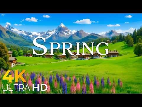 Spring Vibes in Switzerland 🌸 Scenic Valleys & Crystal Rivers | 4K Nature