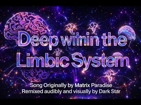 "Deep within the Limbic System" (Dark Star Remix)
