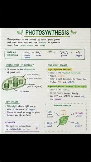 Photosynthesis#BiologyNotes#ScienceNotes #Class11Biology#LearningMadeEasy #EducationalContent #viral