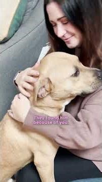 Couple Celebrates Valentine’s Day By Saving Two Euth Listed Dogs | The Dodo