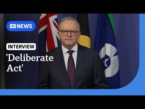 Car did U-turn and struck Helen Haines in ‘deliberate act’: Prime Minister | ABC NEWS
