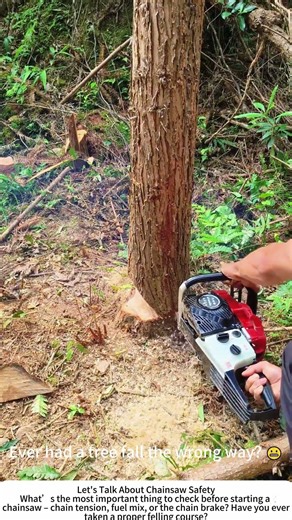 Chainsaw Tree Felling – Precision Cutting to Control the Drop 🌲