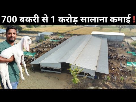12 लाख सालाना की नौकरी छोड़ अपने गांव आकर शुरू किया Goat Farming Business | Goat Farming
