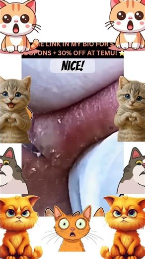 🙈🙉🙊 Oh My God