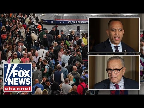 Former acting DHS secretary issues URGENT TSA warning: 'WE NEED EVERYONE'