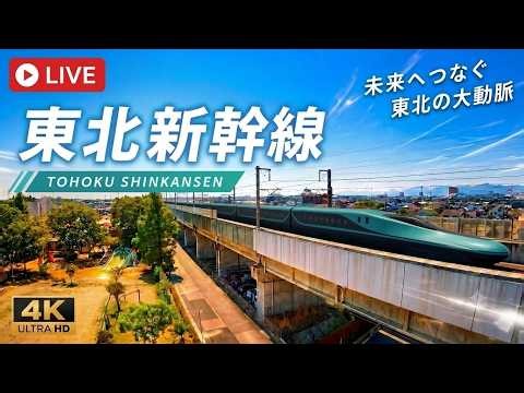G＆Dラッピング↖️↘️2026/10/17am〜🚄東北新幹線 郡山 LIVE🔴REC ライブカメラ 鉄道 爆速 MAX320km/h Shinkansen TOHOKU🗾Japan