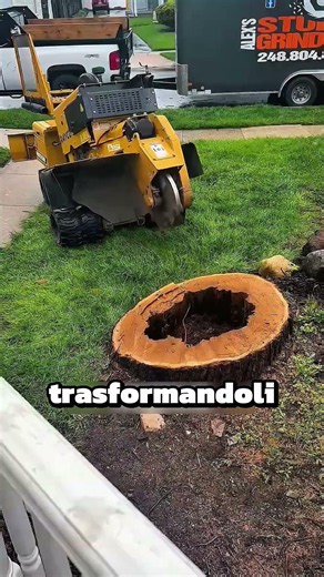 Queste macchina sega tutti i tronchi😳