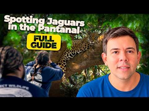 Jaguar Safari in the Northern Pantanal | Complete Guide