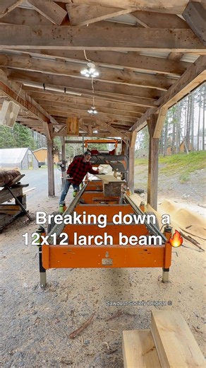 Exceptional Larch Grain 🔥