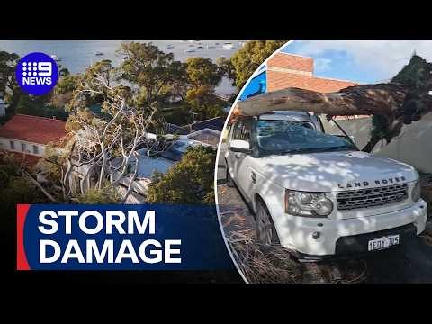 Super storm leaves a trail of destruction | 9 News Australia