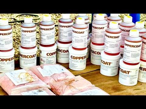 SSL755 ~ Finally.. time for COPPERCOAT !!