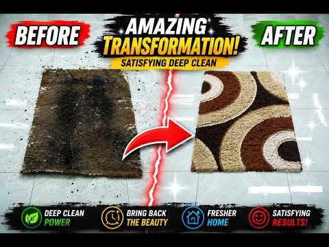 Professional Carpet Refresh | Deep Cleaning Transformation