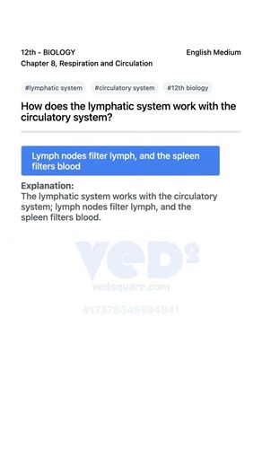 How Lymphatic System Works With Circulatory System 12th Biology