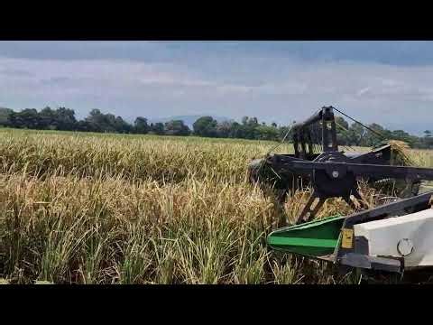 THE FUTURE OF FARMING: HIGH-TECH COMBINE HARVESTER IN ACTION - Agriculture Farming