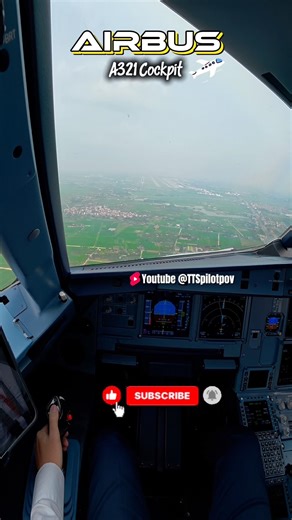 Smooth & Calm Airbus A321 Landing | Pilot POV ✈️ #airbus #a321 #landing