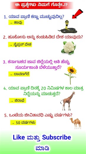 ಸಾಮಾನ್ಯಜ್ಞಾನ ರಸಪ್ರಶ್ನೆ / Kannada Gk Quiz / Quiz in Kannada ! Kannada General Knowledge Questions