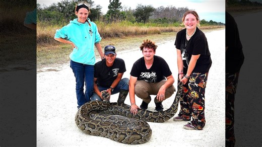 ‘She’s bigger than I thought!’ Hunter finds 202-pound python — 2nd heaviest in Florida history